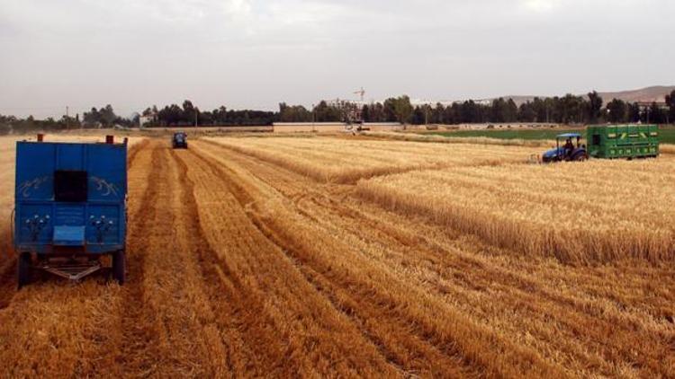 54 ülkenin tarım bakanı, Antalyada buluşacak