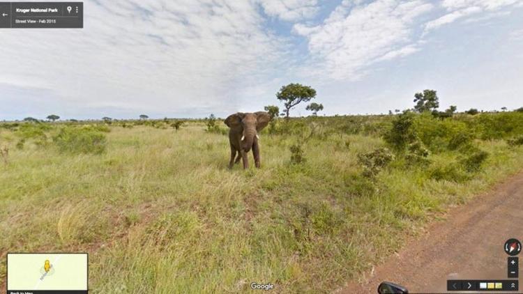 Googledan ücretsiz Güney Afrika turu