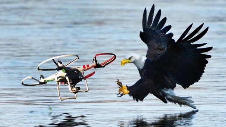 Kartal Drone’a karşı