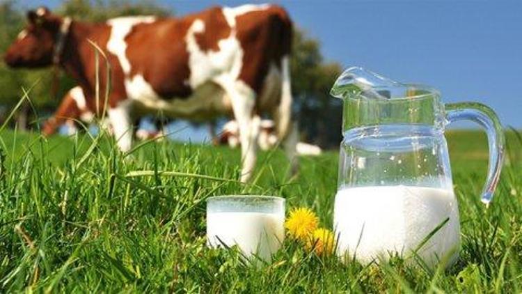 Süt krizi nasıl çözülür 