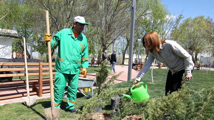 Bahçıvanlıkta kayıtlar başladı