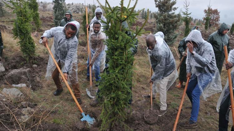 Kent Ormanı’na Ruanda katkısı