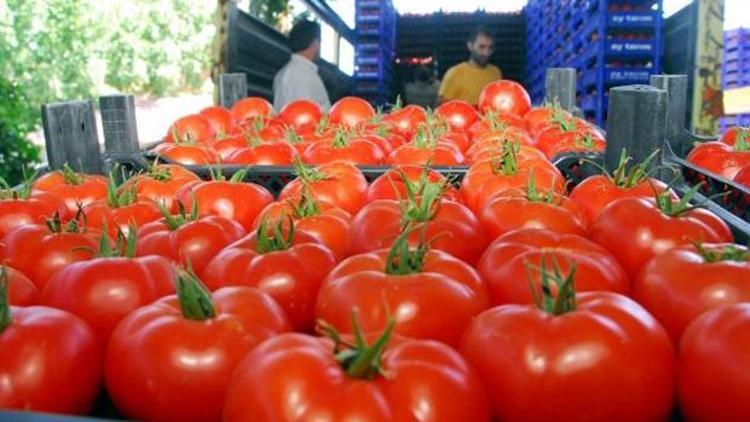 Güneydoğunun kuru meyve ihracatı arttı