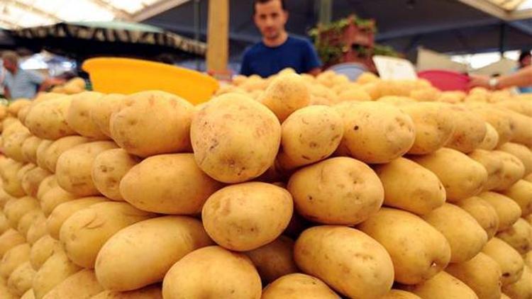 Patates üreticisinin Suriye sevinci