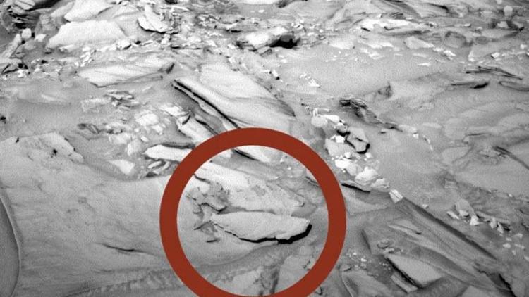 Marsta balık fosili mi bulundu