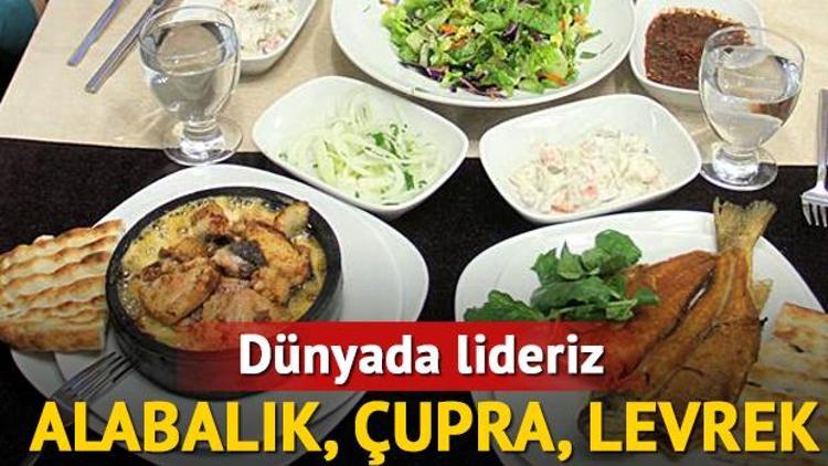 Türkiye çiftlik balıkçılığında dünyada söz sahibi