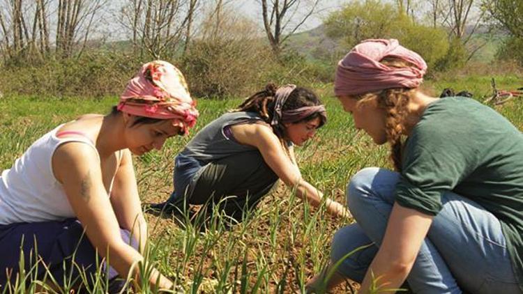 Farmvilledi gerçek oldu: Bağa gel bostana gel