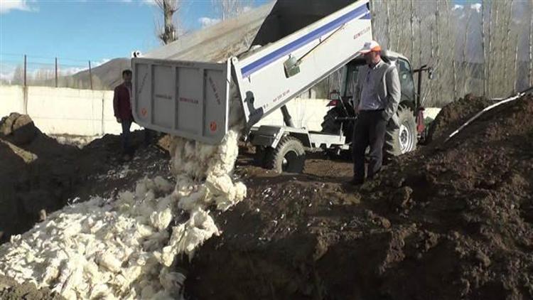 Telef olan tavuklar kireçlenip çukurlara gömüldü