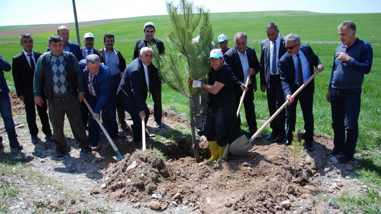 20 bin fidan toprakla buluştu