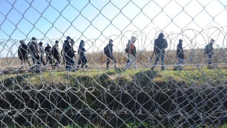 Suriyeli kadın sığınmacı Slovak gümrük görevlileri tarafından vuruldu
