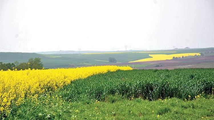 Vergisiz miras paylaşımı bitiyor