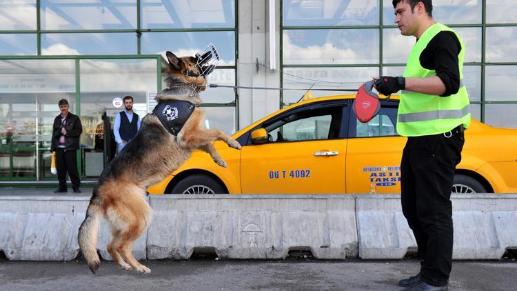 AŞTİ’de K-9’lu arama