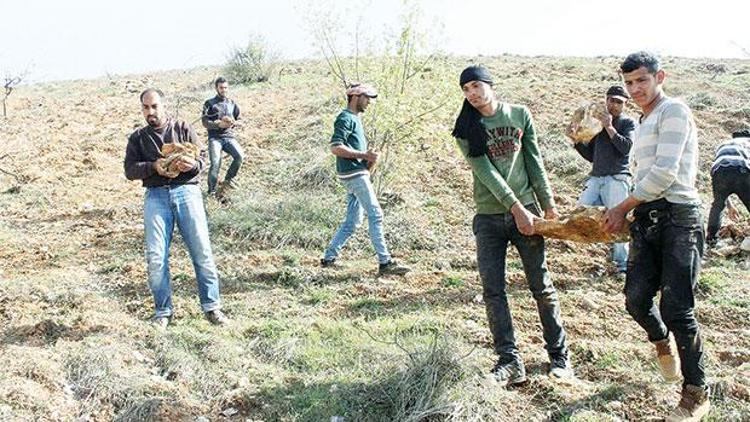 3 bin 800 Suriyeli resmen işçi