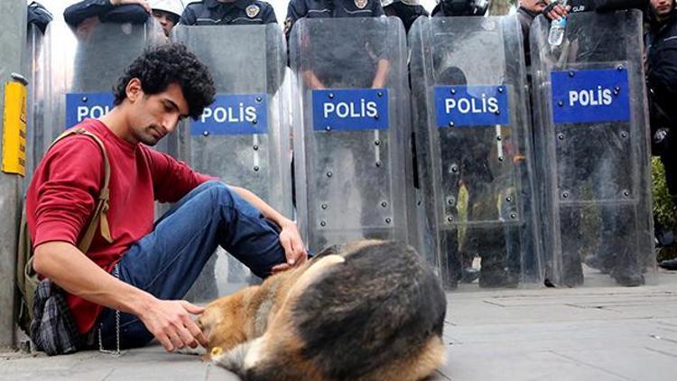 Sokak köpeğini seven protestocuya polise hakaretten ceza