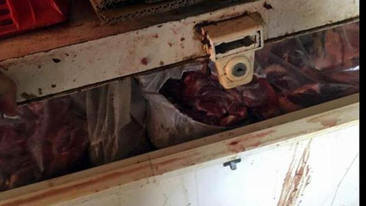 5 ton kaçak domuz eti ele geçirildi