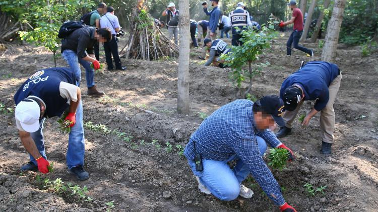 UNESCO korumasındaki Hevsel Bahçelerine uyuşturucu baskını