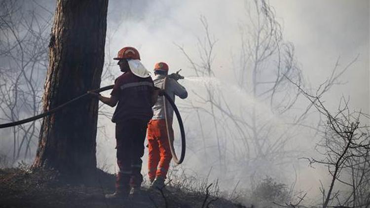 Son dakika haberleri: Antalyada bir orman yangını daha