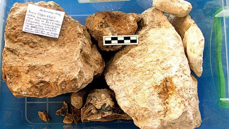 Prehistorik taşlar mı Gömelim gitsin