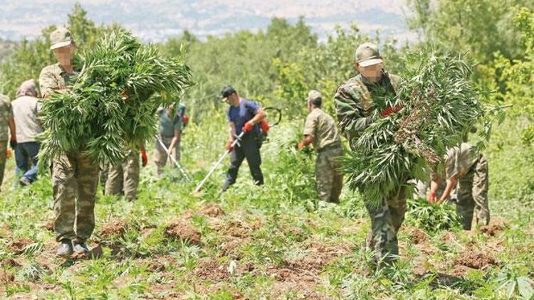 Narko terörün 6.5 milyon kökü kırıldı