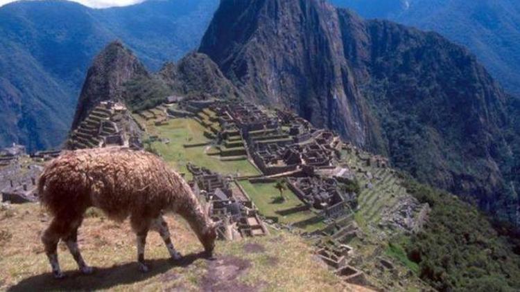 Machu Picchuda uçuş selfiesi çekerken uçurumdan düştü