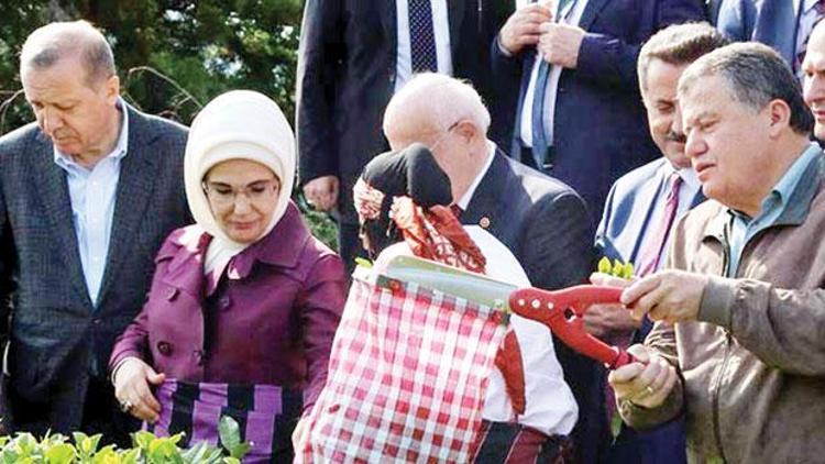 CHPnin başvurusuna Yargıtaydan ret