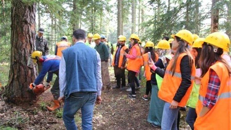 Orman mühendisine yeni iş alanı