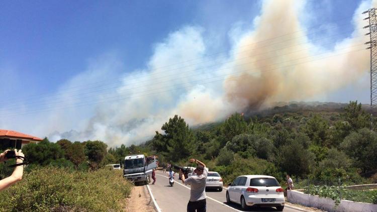 Çeşme’de yangın Alevler yazlıkların 5 metre yakınında...