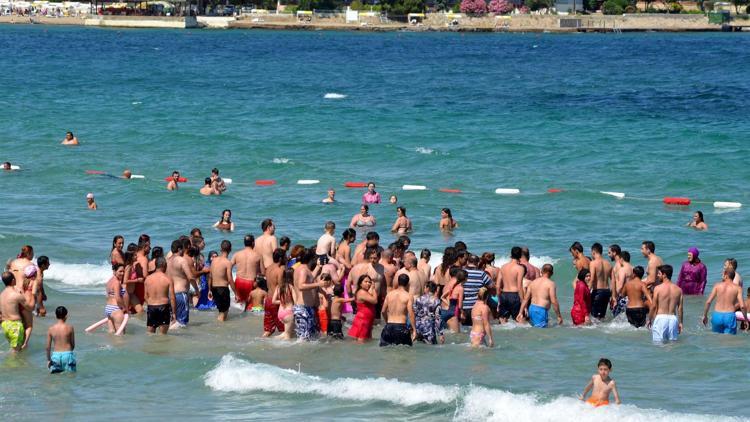 Kıyıya vuran yavru yunusu vatandaşlar kurtardı