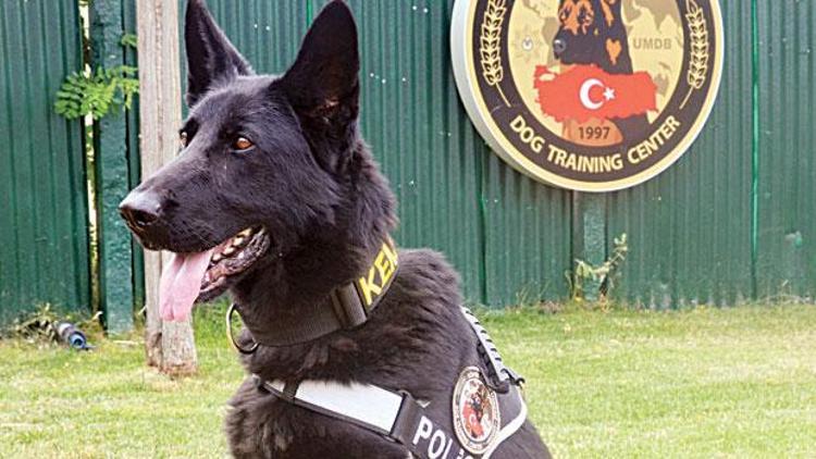 Kayıp çocuklar için yeni umut K9