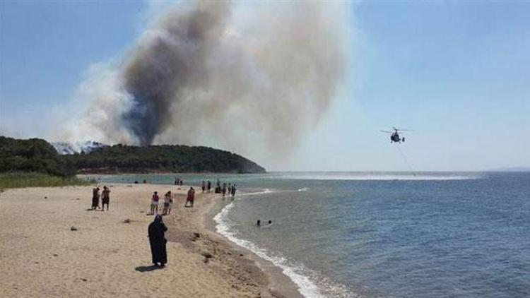 Son dakika haberi: Gelibolu Yarımadasında orman yangını