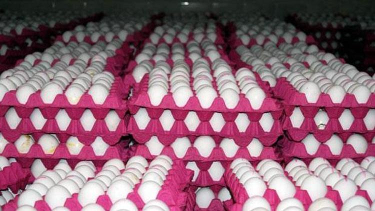 Iraka yumurta ihracatı arttı