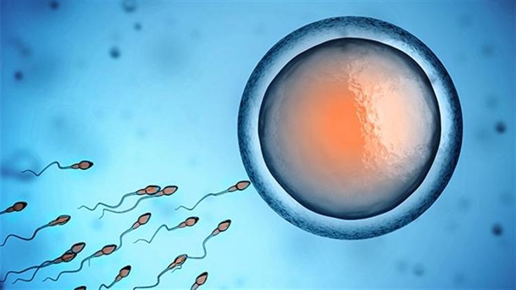 Sperm sağlığında son gelişmeler