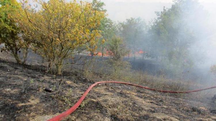 TIR’da çıkan yangın yol kenarındaki ağaçlara sıçradı