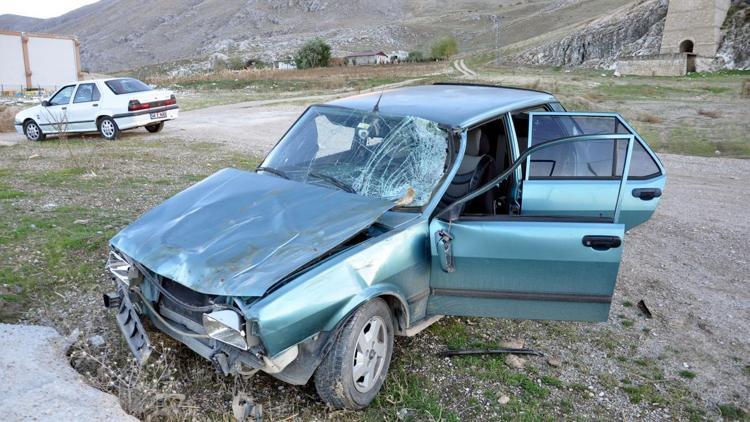 İneğe çarpan otomobilin sürücüsü yaralandı, inek telef oldu