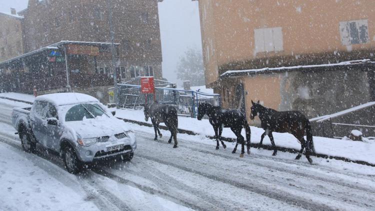 Doğu Karadenizde kar yağışı