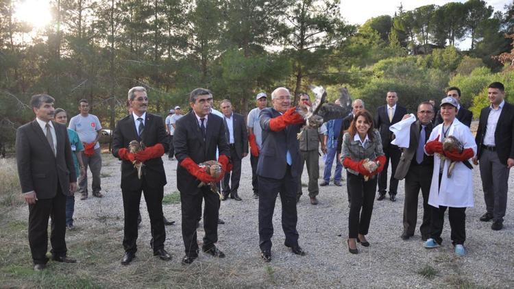 Tedavi edilen yaban hayvanları doğaya bırakıldı