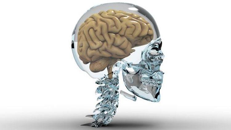 Aşırı kiloluların beyinleri çabuk yaşlanıyor