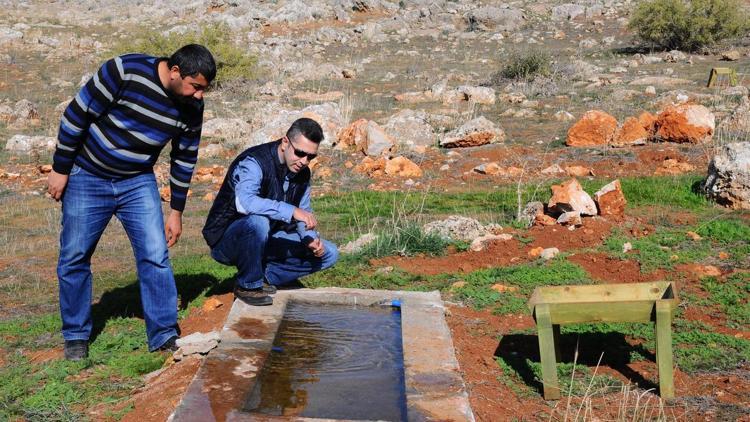 Üretme istasyonu ceylanlarını bekliyor