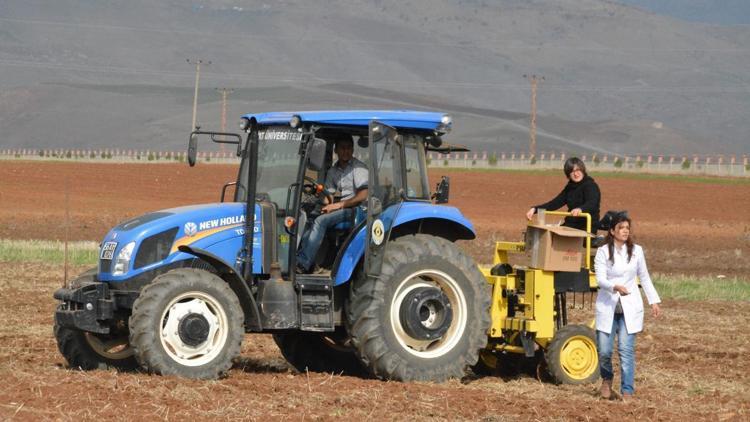 Siirt Üniversitesinde 101 tahıl çeşidinin ekimi