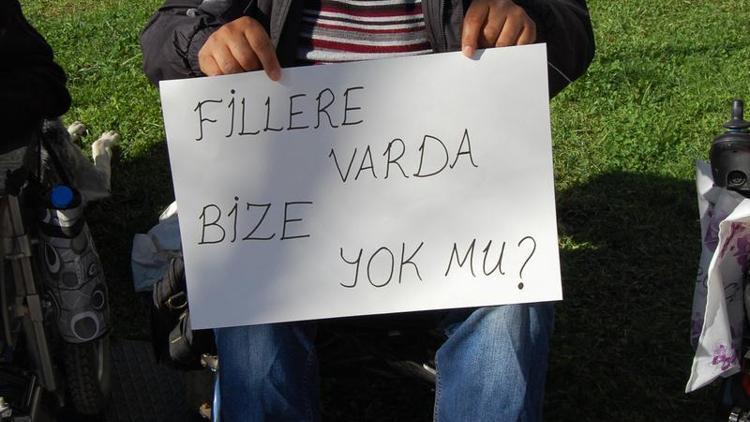 Engellilerden file var da bize yok mu eylemi