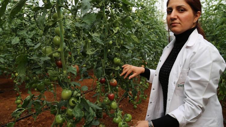 Ruslar istedi, Türk mühendis ıslah etti