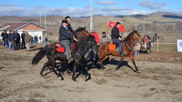 Gümüşhacıköyde rahvan at yarışları düzenlendi
