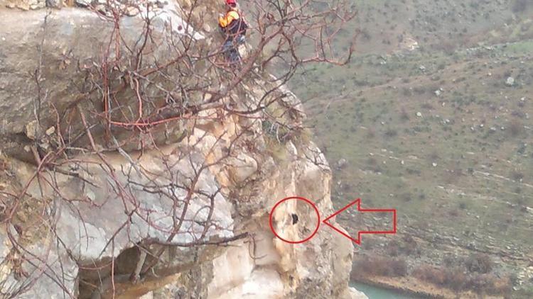 Kayalıkta mahsur kalan keçileri AFAD ekibi kurtardı