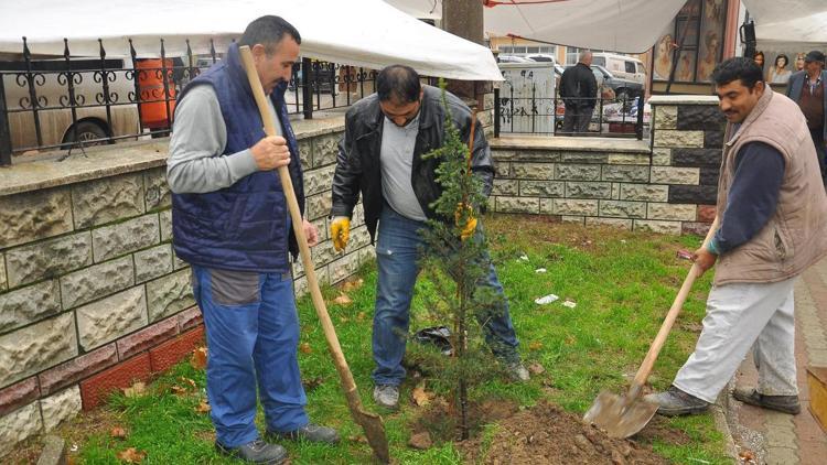 Malkaradan kısa kısa