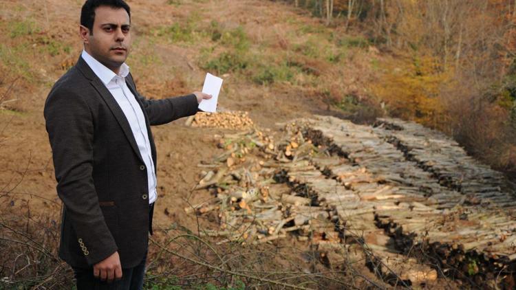 Amasra’ya kurulması planlanan termik santral