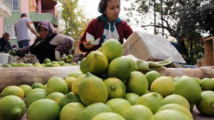 Rublenin dolara yenilmesi Türk ihracatçısını vurdu