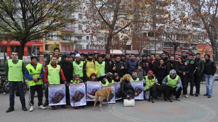 Eskişehirde vatandaşlar, sokak hayvanlarına yardım etti