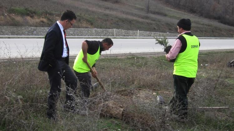 Erbaada 3 bin 600 fidan toprakla buluştu