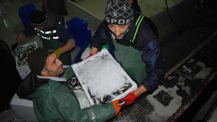 Hamsiden ümidini kesen balıkçının yüzü istavritle güldü