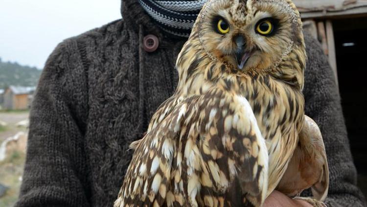 Doğa tutkunu İsveçli Rydbergden, Lisinia Doğa Projesine destek